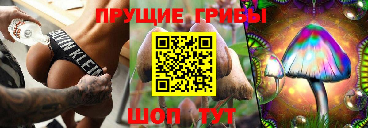 Псилоцибиновые грибы Magic Shrooms  Галлюциногенные грибы мицелий  Унеча  Вход с VPN 